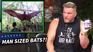 Bat biggest bat fact check giant bat golden crowned flying fox. Pat Mcafee Reacts To Man Sized Bats From The Philippines Youtube