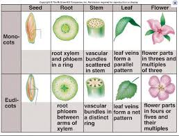 Pin On Biology213