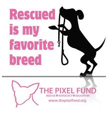 A portion of the fee goes to state government (bureau of animal welfare) to fund research and education into responsible pet ownership. Pets For Adoption At The Pixel Fund In Gorham Me Petfinder