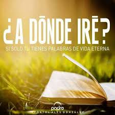 Juan 6 68 Le Respondio Simon Pedro Senor A Quien Iremos Tu Tienes Palabras De Vida Eterna Palabra De Vida Frases Religiosas Palabras De Animo
