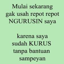 Pin On Picture