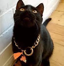 Discover unique gold jewellery for a striking look. Chain Cat Collar Gold Chain Collar White Lava And Star Cat Etsy