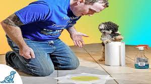 Puppy Potty Training How To Stop Your Puppy From Peeing Indoors Professional Dog Training Tips Youtube