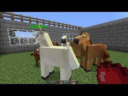 In this minecraft video today we will be testing out the crazy wild animals mod! Pin On Minedcraft