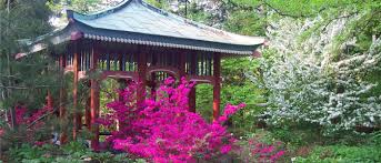 Botanische nacht im botanischen garten berlin auf 27. Reisetipps Berlin Botanischer Garten Berlin Travelcircus Urlaubsziele
