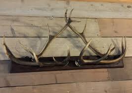 We did not find results for: Dg 105 Coat Rack Of Antlers De Jong Interieur Recent Added Items European Antiques Decorative