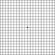 amsler chart to test your sight american macular degeneration foundation