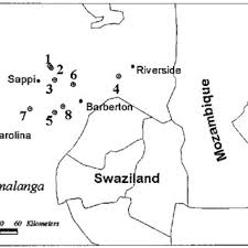 Image result for Haumaniastrum coriaceum