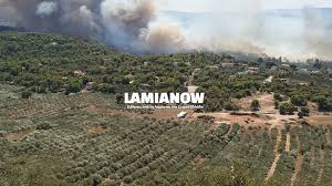 Πυρκαγιά ξέσπασε μετά το μεσημέρι της πέμπτης σε πευκόφυτη περιοχή ανάμεσα σε μαλεσίνα και θεολόγο, στη λοκρίδα φθιώτιδας. V0n Xapatuyekm