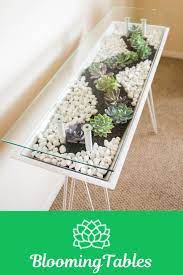 Wonderful Blooming Tables Plant Decor Indoor Plant Decor Terrarium Table