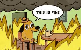 Why is the cryptocurrency market crashing and how is it affecting blockchain projects? Me Watching My Profits Go Up While The Crypto Market Is Crashing Nicehash