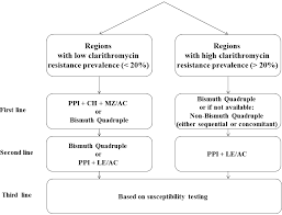 Pylori) treatment for your condition.helicobacter pylori itself is a type of bacteria that infects the stomach and causes inflammation, ulcers and even stomach cancer. Empirical Versus Targeted Treatment Of Helicobacter Pylori Infections In Southern Poland According To The Results Of Local Antimicrobial Resistance Monitoring Intechopen