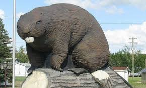 Giant Beaver, Beaverlodge, Alberta -- need we say more? | Roadside  attractions, Canada road trip, Roadside