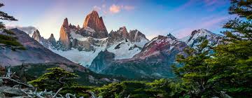 Uproar after argentina president says 'brazilians came from the jungle'. Travel Vaccines And Advice For Argentina Passport Health
