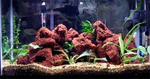 Pin De J P En Aquarium Acuario De Casa Acuarios Acuario
