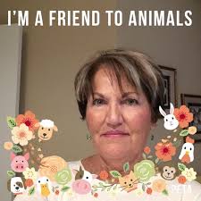 Congratulations 🎉