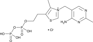 One of these mechanisms involves the reduced availability of vitamin b1 to the brain as a consequence of continued alcohol consumption  10 . Thiamine Pyrophosphate Chloride Cocarboxylase Tpp Vitamin B1 Pyrophosphate Cas Number 154 87 0 Cayman Chemical