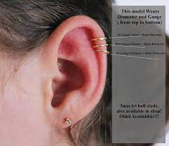 Conch Piercing Cartilage Earring Helix Piercing Minimalist Earrings 16 18 20 22 Gauge Gold Hoop Earring Minimalist Earrings Hoop Earrings Small Tiny Jewelry