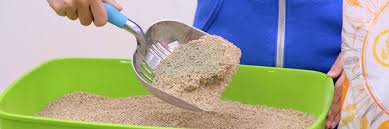 However, there are also varieties made from walnut shells, coconuts, wheat, bamboo, and grass seeds. Best Biodegradable Cat Litter 2020