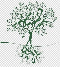 Tree Of Life Woman Tree Transparent Background Png Clipart Cherry Blossoms Illustration Tree Illustration Tree Trunk Drawing