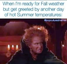 Summer memes, Hot temperature humor ...