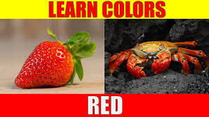 Learn Color Red Things That Are Red In Colour Youtube