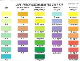 Api Water Test Color Chart Www Bedowntowndaytona Com