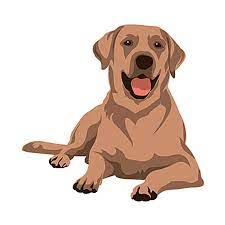 Sticker Sticker D Animaux Chien Par Nurav Design Animal Illustration Dog Vector Cat Vector