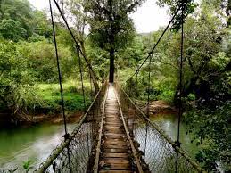 8 Things Every Traveller Must Do In Coorg Cool Places To Visit Tourist Places Travel