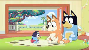 Bluey Why Baby Race Episode On Abc S Children S Television Show Is One To Which Every Parent Will Relate The West Australian