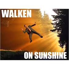 Pin By Allison Blair On Wise Words Funny Puns Walken Funny Pictures