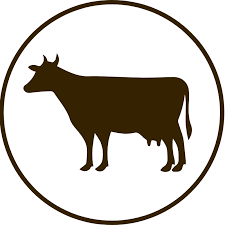 Descopera 282 case de vanzare cu cel putin 1 in camera, de la neamt (judetul). Bovine De Vanzare Vanzari Bovine Anunturi Bovine Hobby Zoo Ro