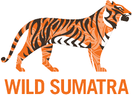 Sumatra Wildlife Animals And Birdlife In Indonesia Wild Sumatra