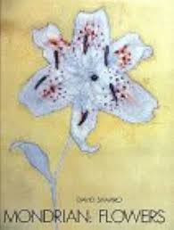 Image result for mondrian