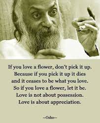 Quotes of osho about life and love quotes. If You Love A Flower Brilliant Quote Osho Quotes Inspirational Quotes