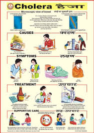 spectrum impex health hygiene and sanitation charts