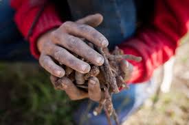 All over the world, children are being exploited through child labour. Child Labour Index Data Maplecroft