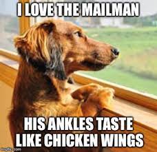 And Small Dogs Are Easier To Punt Imgflip