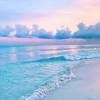 791 aesthetic wallpaper stock video clips in 4k and hd for creative projects. Https Encrypted Tbn0 Gstatic Com Images Q Tbn And9gcqcwmz6gutlfkxl2ncluloqmfa8mkpzknt4ntxs Tgrsnogrmbg Usqp Cau