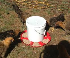 We did not find results for: 6 Gravity Powered Auto Chicken Feeder 5 Steps With Pictures Instructables