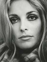 Sharon Tate Fans
