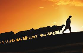 For example, the smaller southern kingdom of. God S Enduring Love For Israel United Church Of God