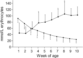 Changes Of The Erythrocyte Phenotype And Blood Biochemistry