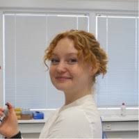 500+ "Mondry" profiles