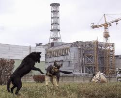 If you're like us, after watching the hbo miniseries about the catastrophic nuclear meltdown at chernobyl, you still have many questions about what really happened both during the event and in its aftermath. Chernobyl 10 Burning Questions We Still Have After Watching Digital Trends