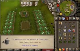 Pickpocket master farmers for seeds, as some are hard to come by. Osrs Farming Guide 1 99 Farming Most Efficient Methods