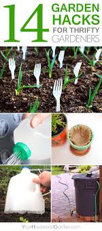 14 Garden Hacks For Thrifty Gardeners Plants Veggie Garden Diy Garden