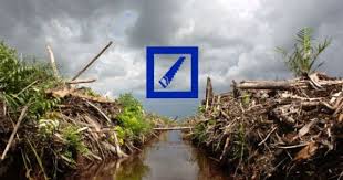Deutsche Bank Abholzen Aus Leidenschaft Finance Bank Deforestation Indonesia