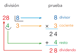 Resultado de imagen de prueba de la division