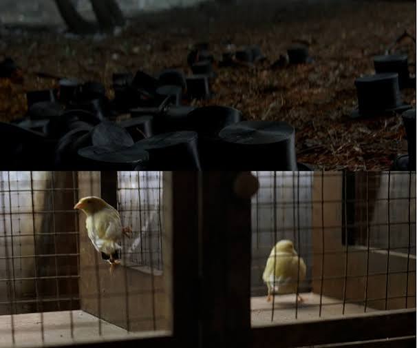 In The Prestige, the opening shot is of identical copies of Angier's top  hat in a glade, followed by a shot of caged canaries in Borden's workshop.  Thus the film's central conflict